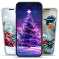 Christmas Frames & Wallpapers