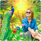 Peacock Photo Frames иконка
