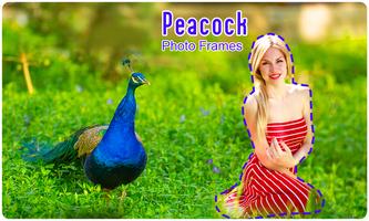Peacock Photo Frames скриншот 3