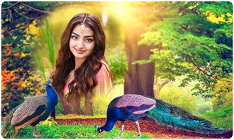Peacock Photo Frames постер