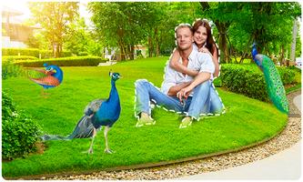 Peacock Photo Frames скриншот 1