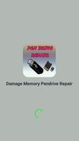 Damage Memory & Pendrive Repair Plakat