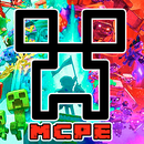Skins for Mine Craft Pocket E APK