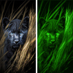 Night Vision Camera Filter