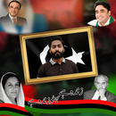 PPP Photo Frame - PIP 2024 APK
