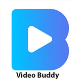 VideoBuddy icône