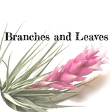 エアープランツ～観葉植物の通販｜B＆L／CAFE STEMS icon