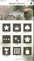 エアープランツ～観葉植物の通販｜B＆L／CAFE STEMS poster