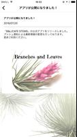 エアープランツ～観葉植物の通販｜B＆L／CAFE STEMS screenshot 2