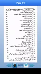 Tibb-e-Nabwi PBUH XAPK 下載