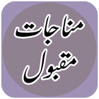 Minajate Maqbool: Islamic Book-icoon