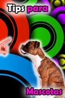 Como Controlar a Mi Perro Gratis Poster