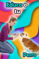 Como Controlar a Mi Perro Gratis captura de pantalla 1
