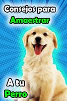 Como Controlar a Mi Perro Gratis captura de pantalla 3