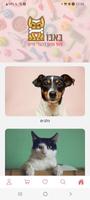 Babo Pets 海報