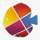 דגים ברשת APK