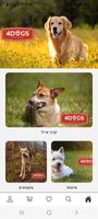 4Dogs Original poster