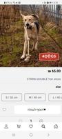 4Dogs Original screenshot 3