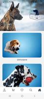 4Dog-poster