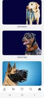 4Dog screenshot 1
