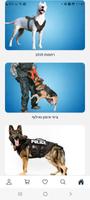 4Dog screenshot 2