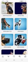 4Dog screenshot 3