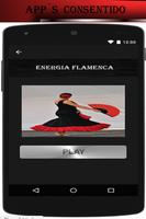 Musica Flamenca Gratis screenshot 3