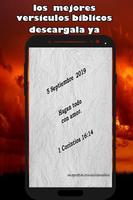 versículos bíblicos cristianos diarios Plakat