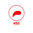 K53 - RSA Mobile Application