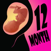 Pregnancy Calculator