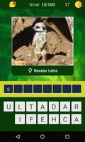 Adivina el Animal скриншот 1