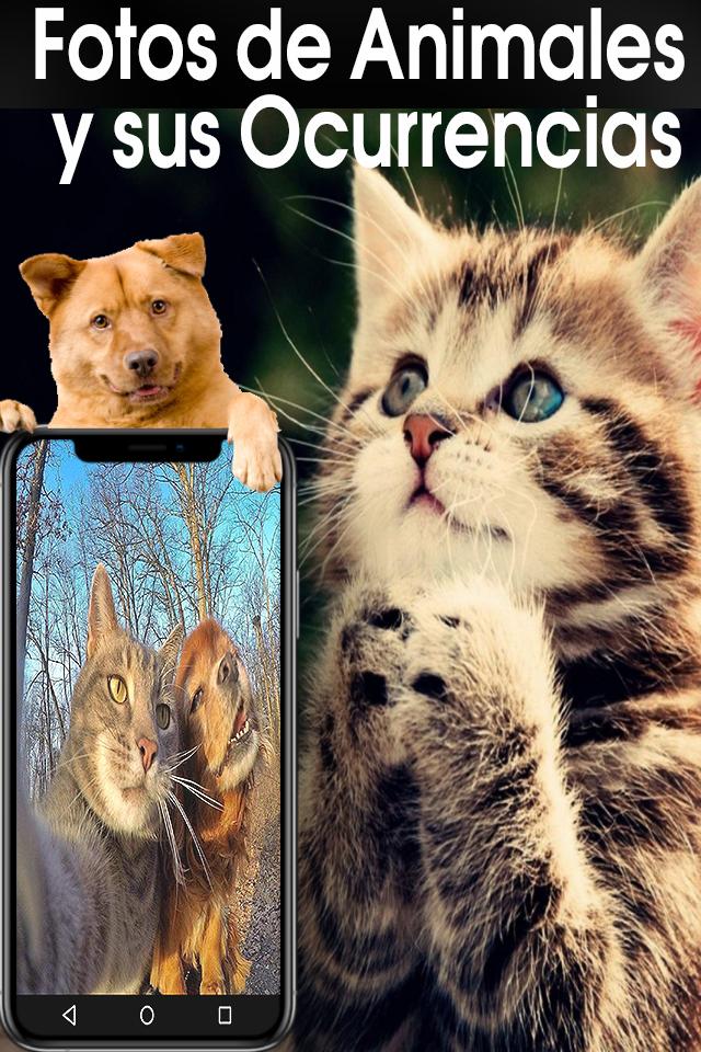 Animales Graciosos Gratis APK do pobrania na Androida Animales Graciosos Gratis APK do pobrania na Androida