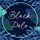 Black Pole icône