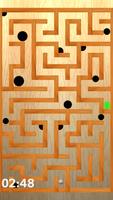 Ball & Maze Puzzle स्क्रीनशॉट 3