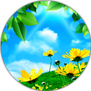 Sky Blue Wallpapers APK