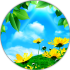 Sky Blue Wallpapers icon