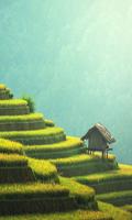 Sky Blue Wallpapers screenshot 1