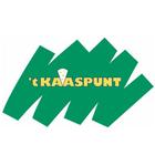 ikon 't Kaaspunt