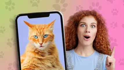 Kitten: what cat are you? joke XAPK download