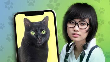 Kitten: what cat are you? joke 截图 2