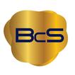 BcStep icon