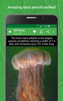 ⭐ Verified Facts - Verifacts الملصق
