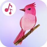 أصوات الطيور - أغاني الطيور