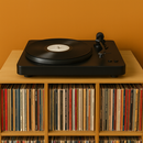 Shelfify - Vinyl Organizer APK