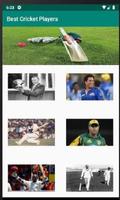 Best Cricket Players 截图 1