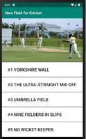 New Field for Cricket Affiche