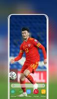 Wales team 海报