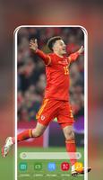 Wales team 截图 3