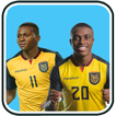 Selección de fútbol de Ecuador