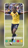 Selección de fútbol de Ecuador पोस्टर